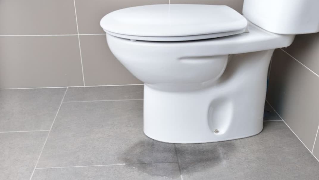 SES Water encourages households to check for hidden toilet leaks- image