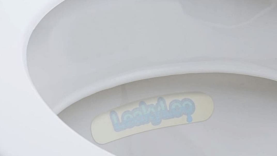 SES Water marks Water Saving Week with a quick and easy toilet test to check for hidden leaks- image