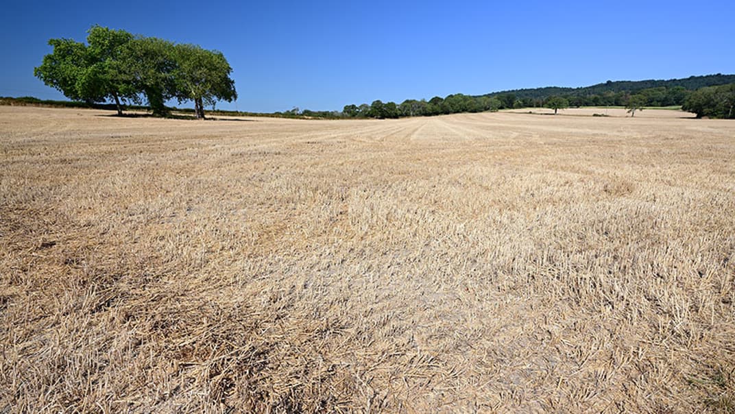Managing a water network through drought - image
