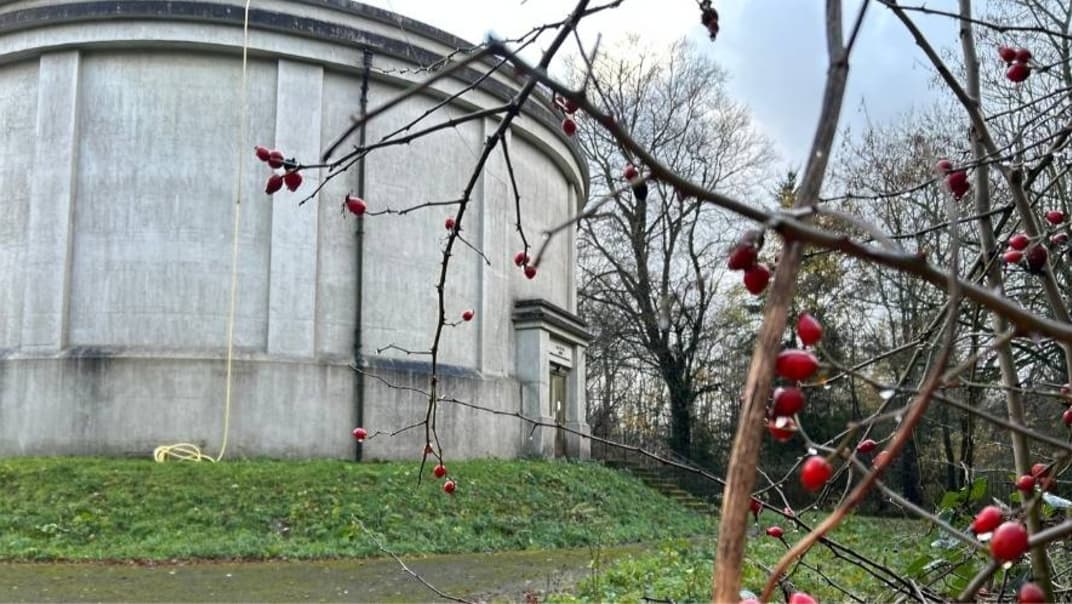 SES Water announces major investment to improve water resilience in Box Hill - image