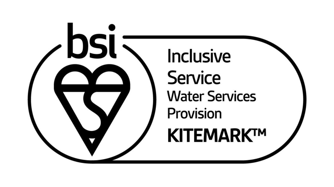 BSI logo