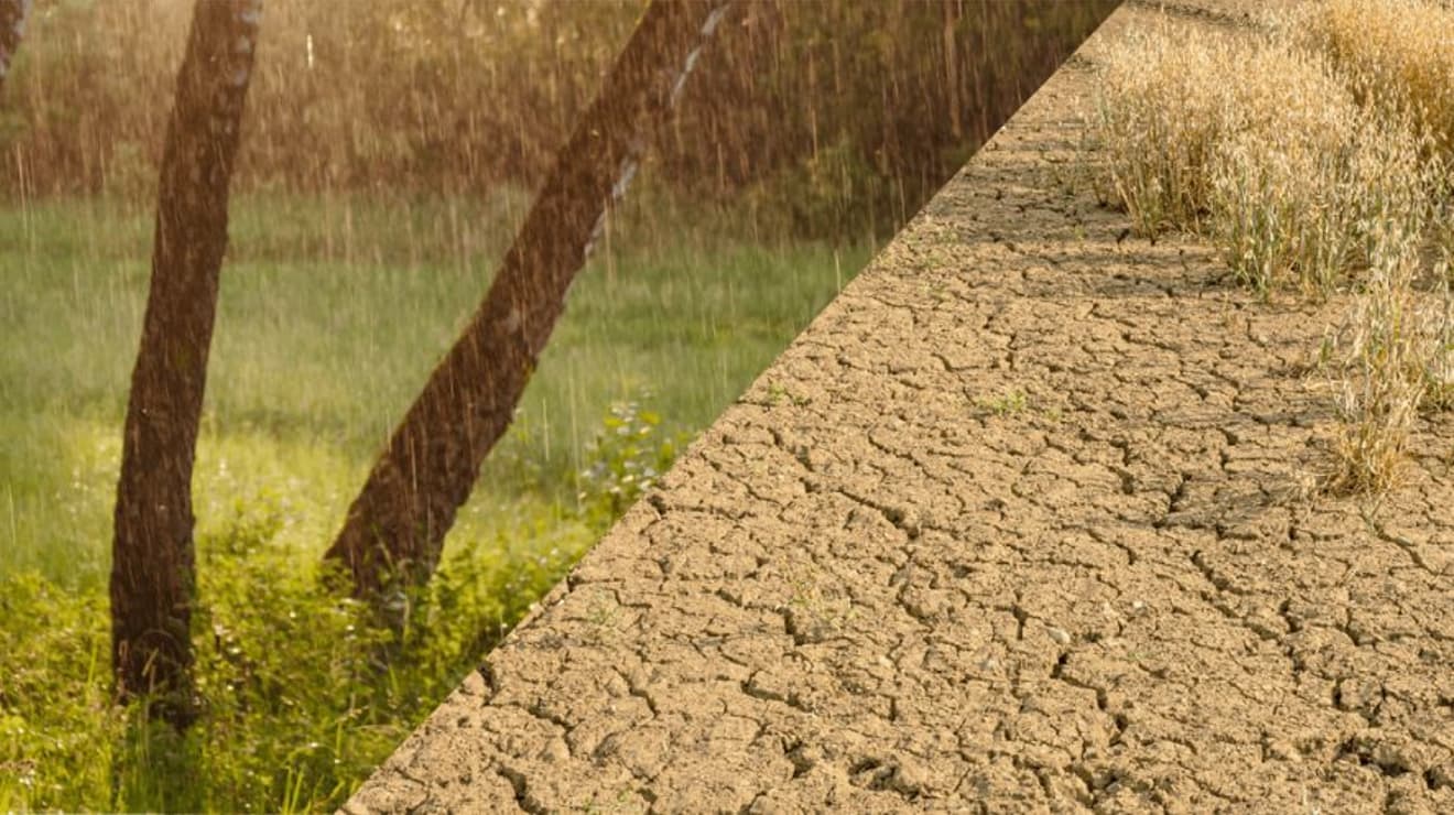 Graphic displays rain falling on the left side and dry cracked ground on the right side