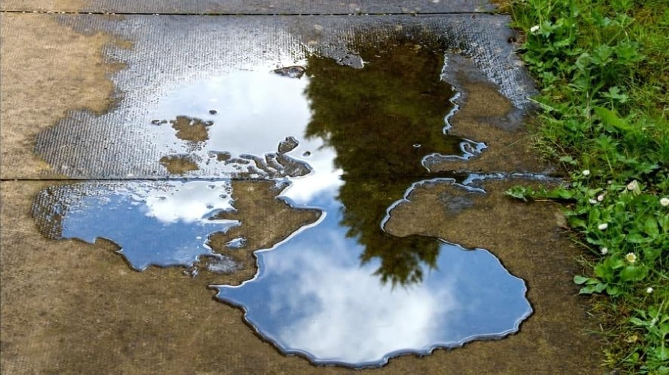 leak from a water main underground causing a puddle on a patio in a garden