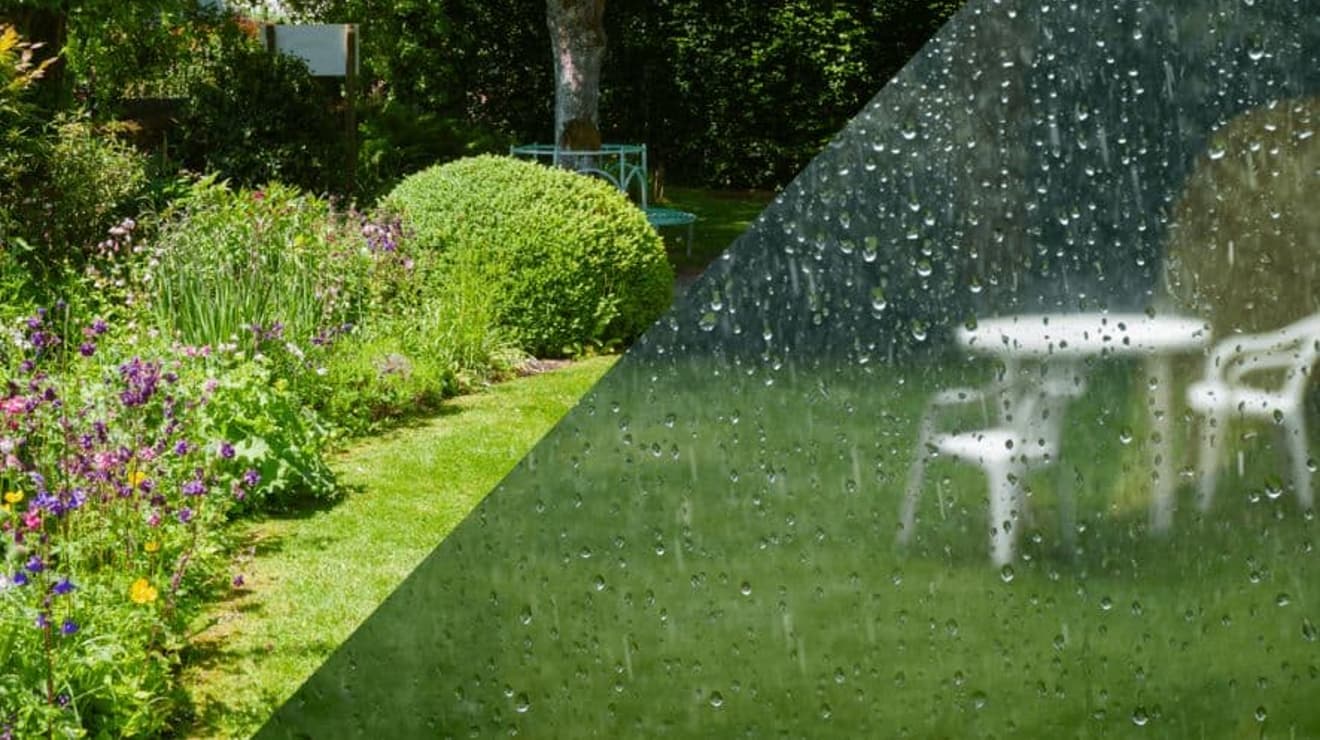 Split picture with half the image of a garden on a sunny day and half the image of a garden on a rainy day