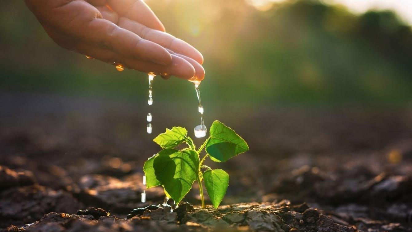 Better Futures Fund Impact so far image