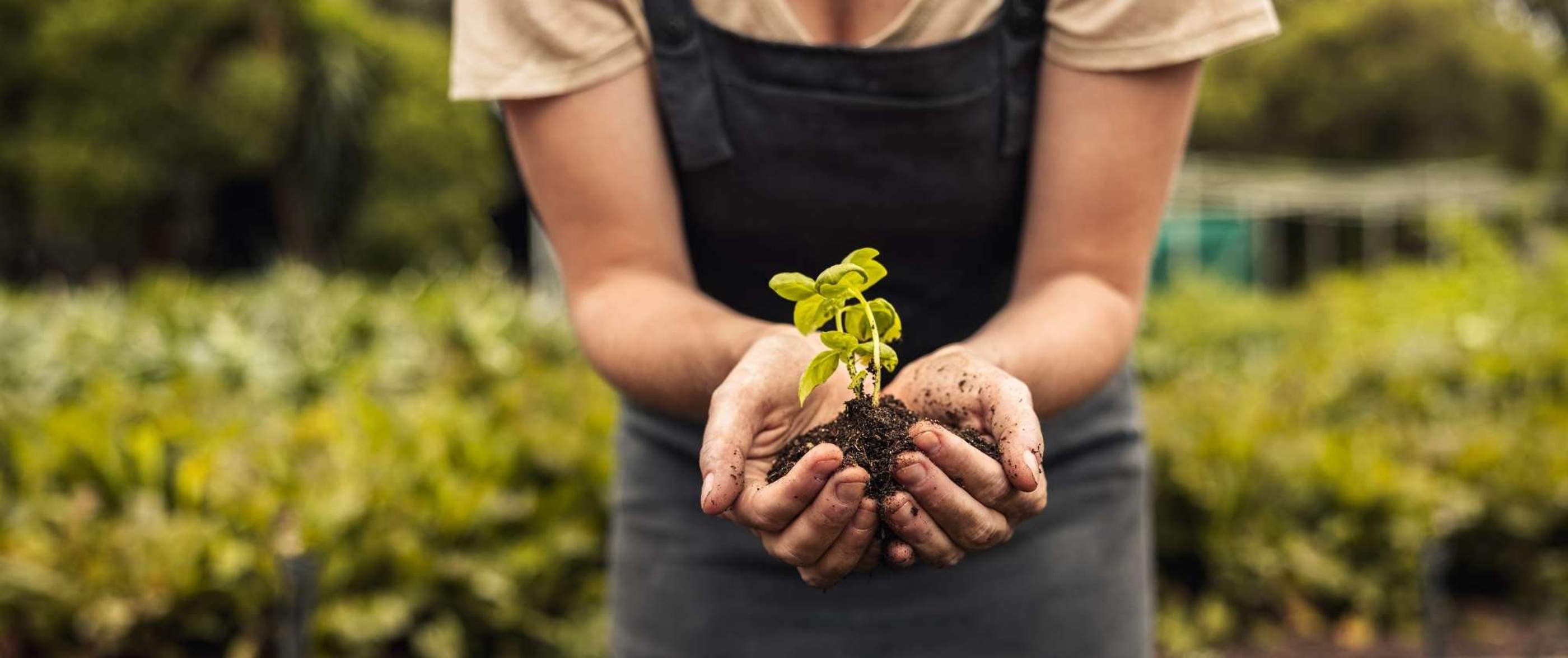 Background image for content-landing hero