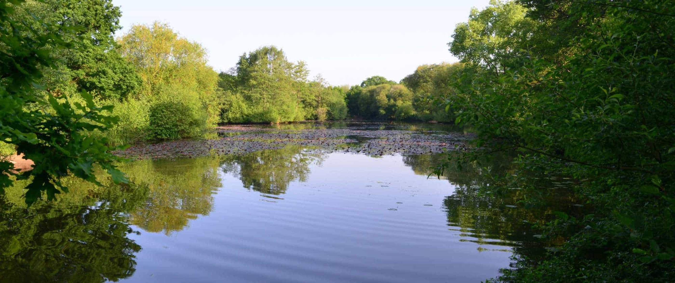 Background image for content-landing hero