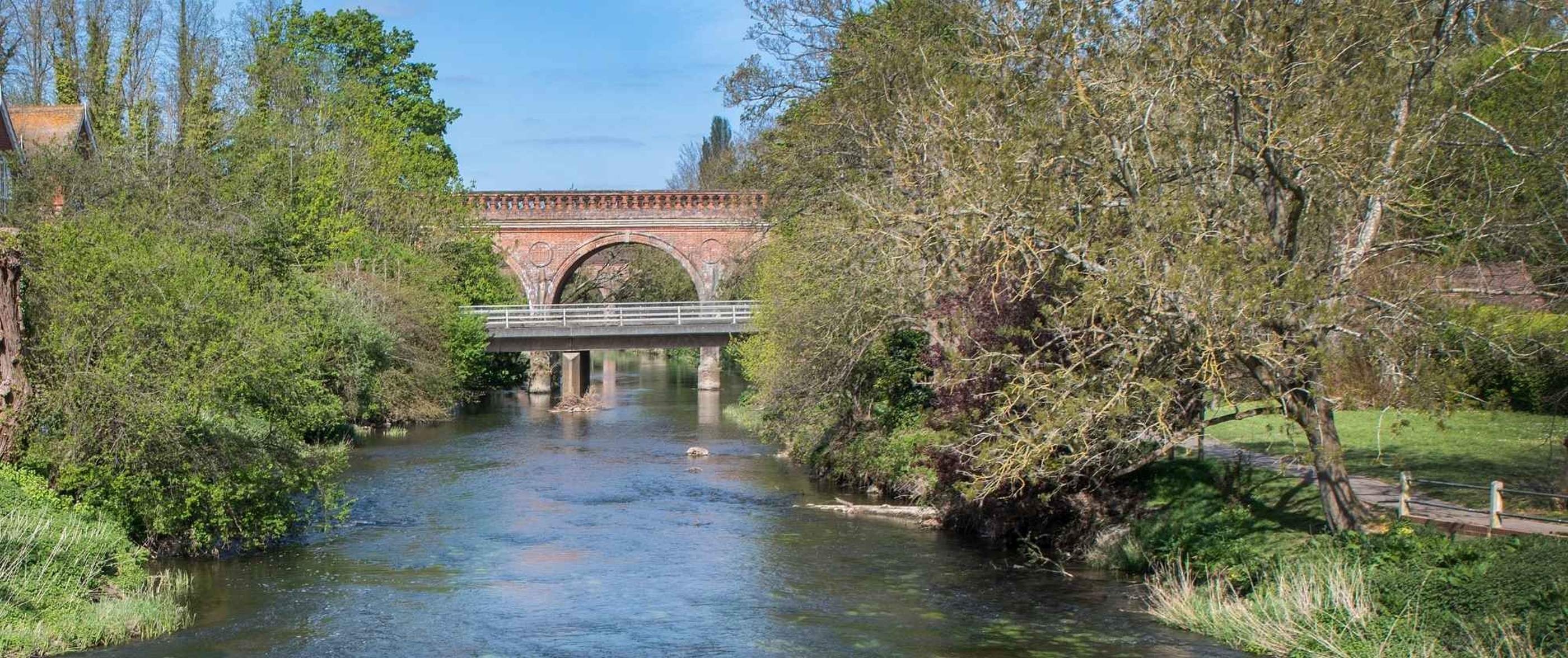 Background image for section-landing hero