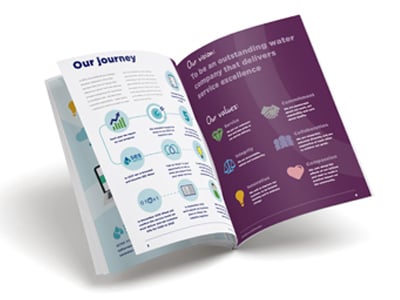 Illustration of the SES business plan brochure