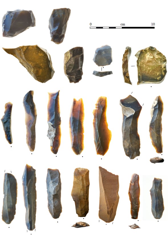 Examples of flint artefacts found at the dig
